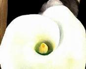 乔治亚 奥基夫 : -Unknown